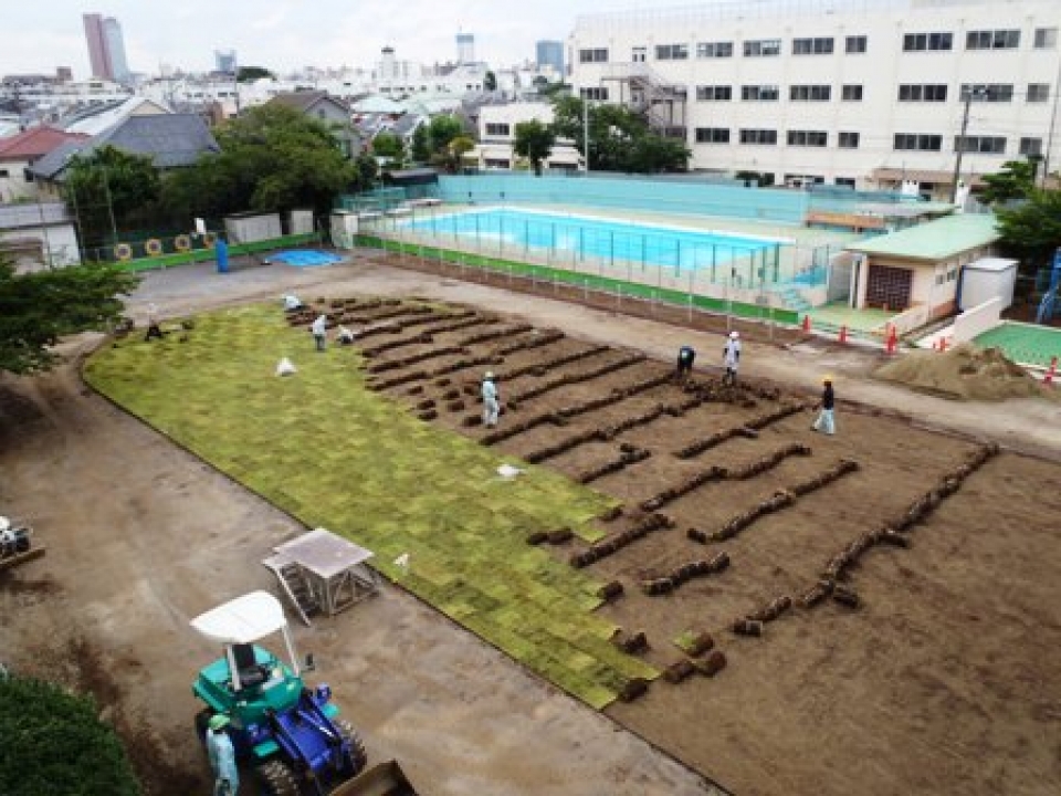 校庭芝生化工事１