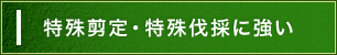 特殊剪定・特殊伐採に強い